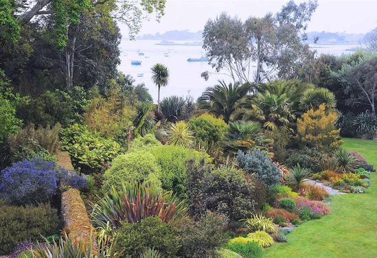 Végétation et terres Nordiques