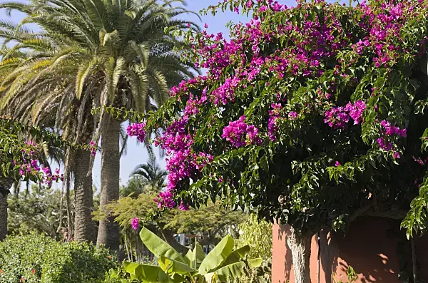 Paysage méditérannéen