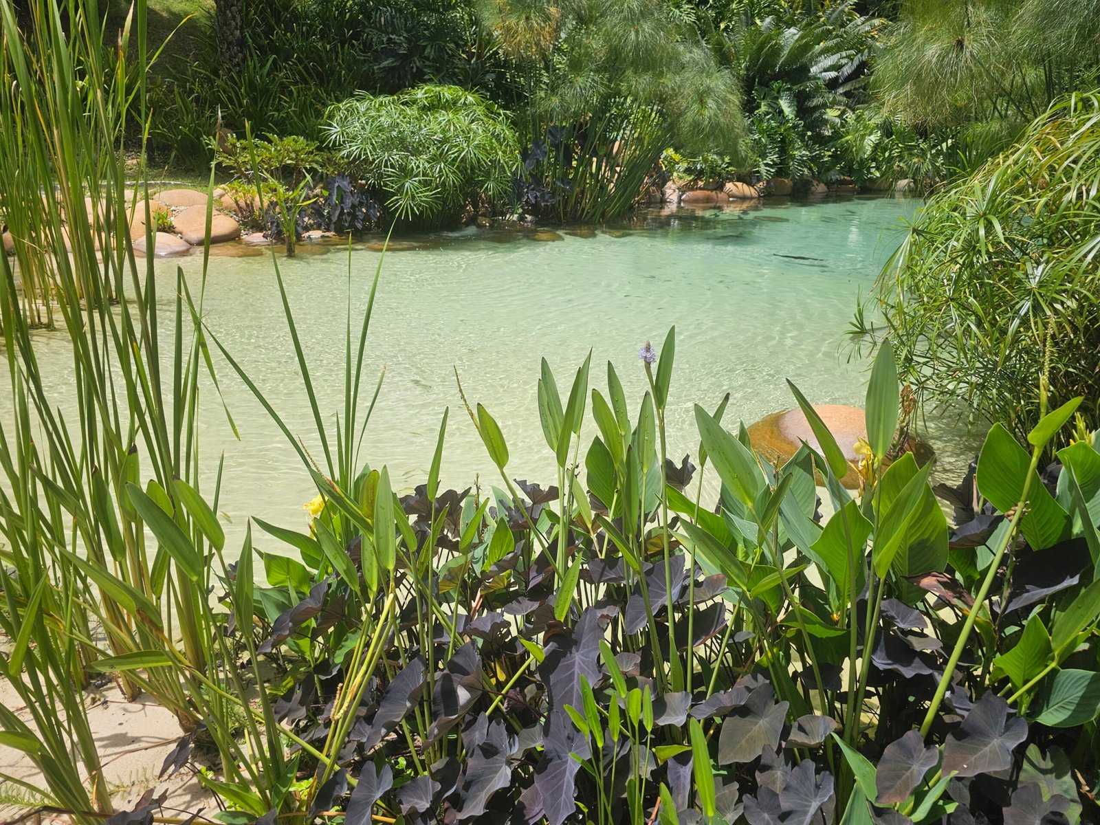 Une réalisation Clair Lagon