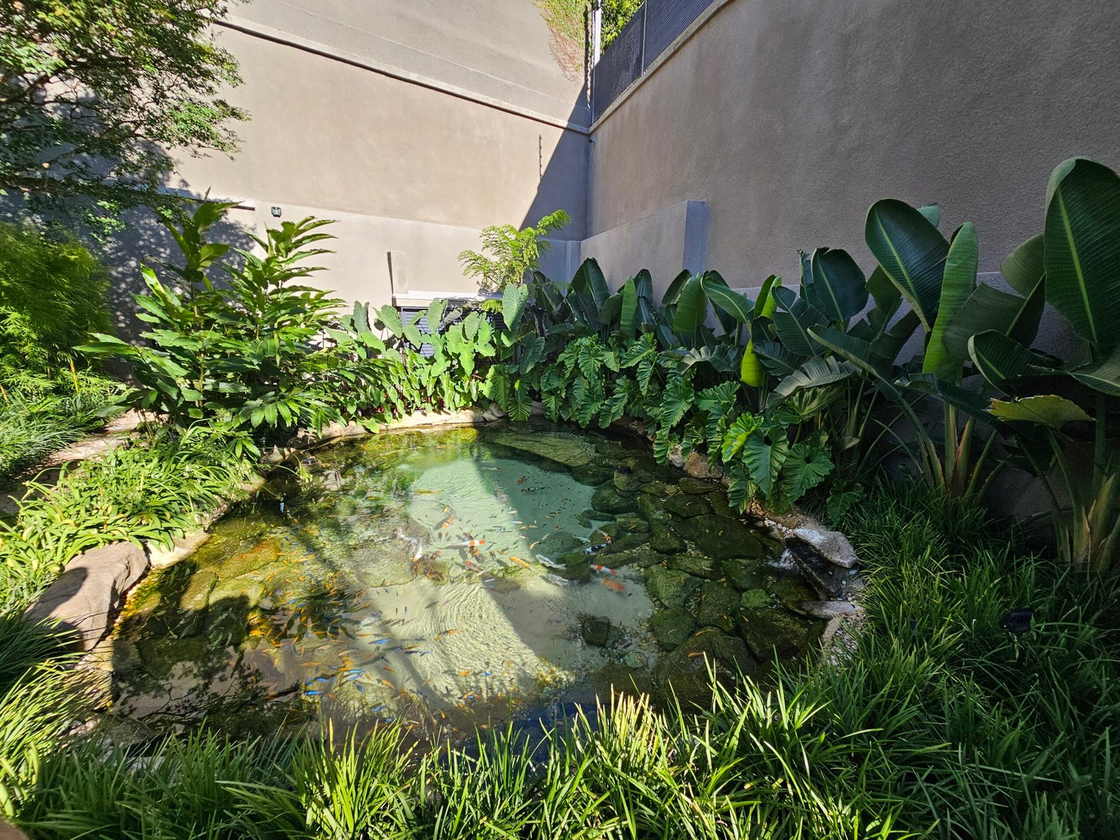 Lagon crique dans un jardin