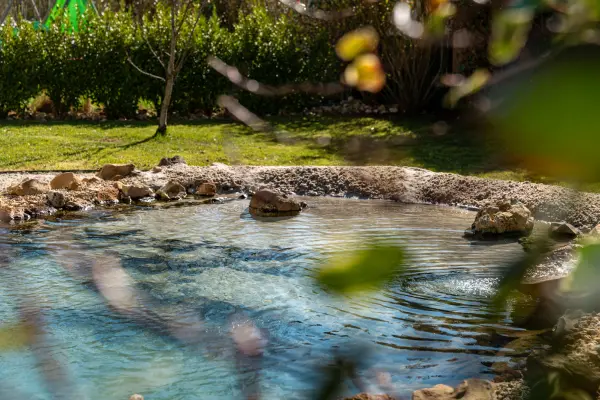 Crique de sable intimiste à domicile